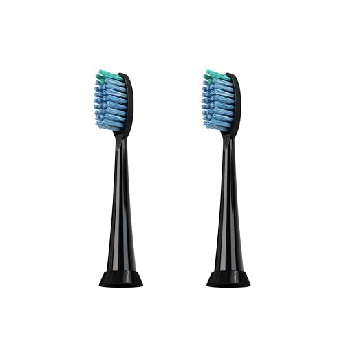 TAO Clean Daily Care Whitening Replacements Heads - Black - 2 Pack