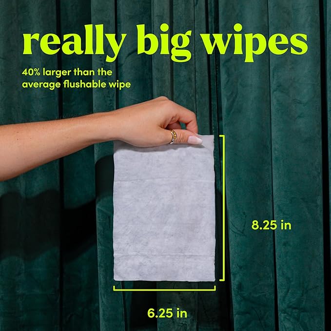goodwipes Flushable Butt Wipes - Extra Large Adult Wet Wipes For Women & Men - Bathroom Essentials - Sewer & Septic Safe - Bathroom Essentials - Shea Coco, 153 Count (3 Packs + 3 Individually Wrapped)